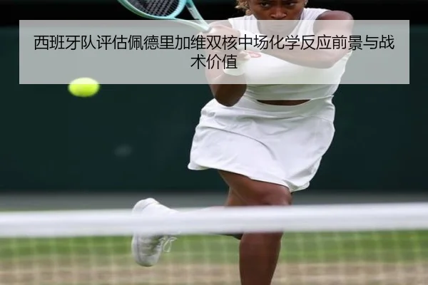 西班牙队评估佩德里加维双核中场化学反应前景与战术价值